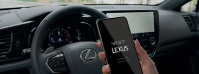Lexus Chat Bot