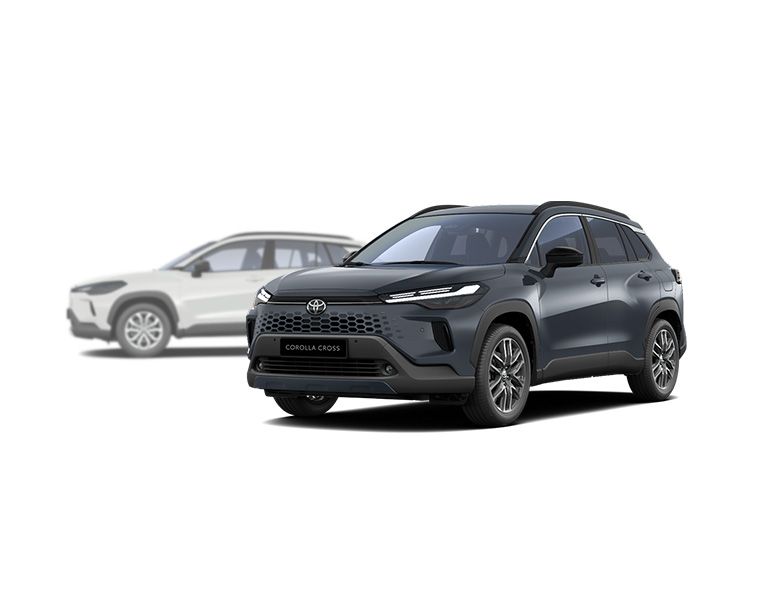 bZ4x Teamplayer Edition