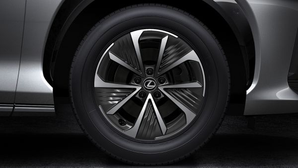 Nahaufnahme eines Lexus Reifens mit silber-schwarzer Felge