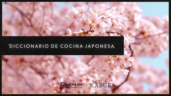 diccionario kabuki