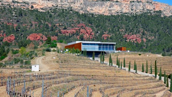 España es un mundo: Montsant, Tarragona