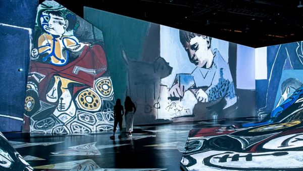 expo picasso