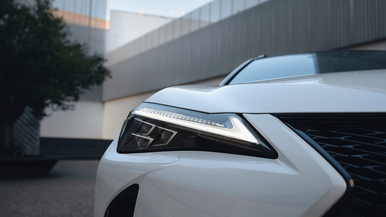 The Lexus RX