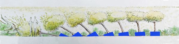 Le Jardin "Régénération"