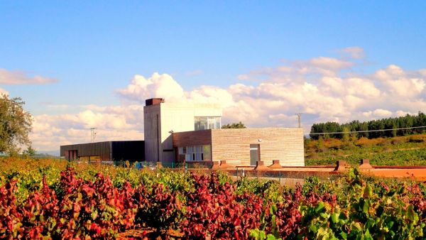 Vinos del Bierzo con denominación de origen