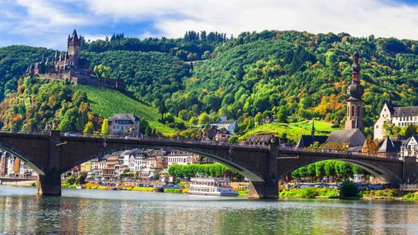 Pont avec pleins de verdure 