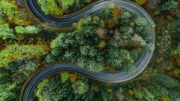 Route sinueuse à travers la forêt verdoyante