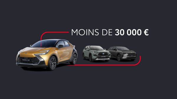 Véhicules d'occasion à moins de 30000€