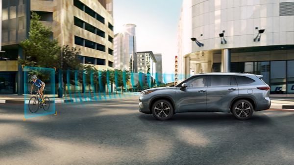 ¿Están los híbridos entre los más vendidos?