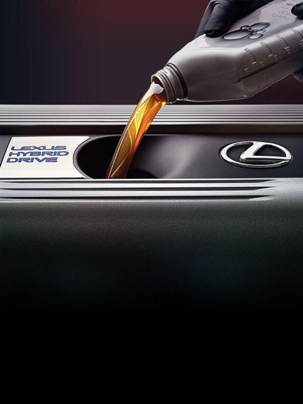 Lexus Oil