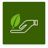 Ikona otwartej dłoni podtrzymującej liść na zielonym tle.