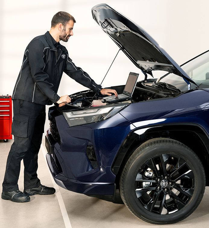 Hybrid / Plug-in Hybrid