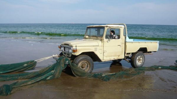 land cruiser