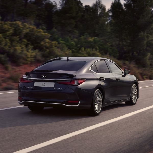 Ein eleganter schwarzer Lexus fährt auf einer kurvenreichen, von Bäumen und Grünanlagen gesäumten Straße