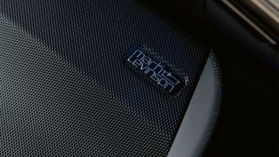 Mark Levinson