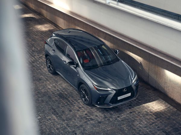 Raised view of a Lexus NX 