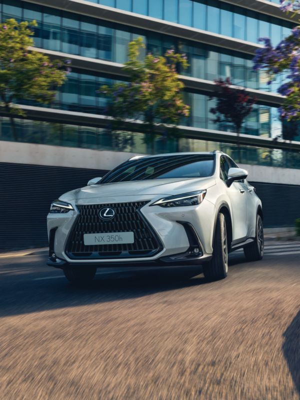 Ein Lexus NX beim Fahren um eine Kurve