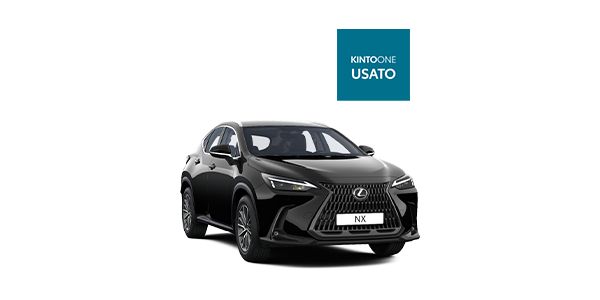 lexus-nx-badge-usato