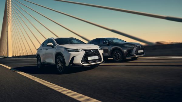 two Lexus NX cars driving on a road