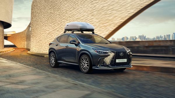 Lexus NX with roof box