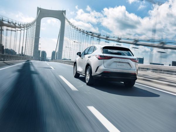 Lexus NX450h+