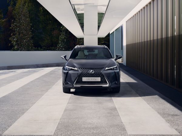 person pressing a button inside their Lexus UX 300e