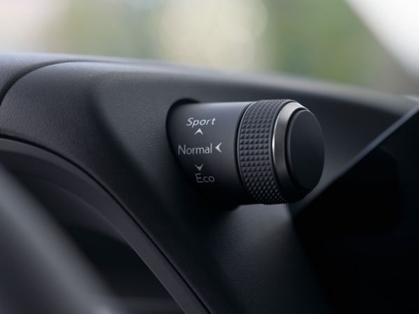 person pressing a button inside their Lexus UX 300e