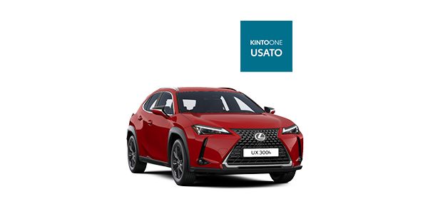 lexus-ux-badge-usato