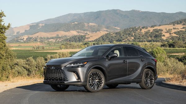 lexus-web--10-v1