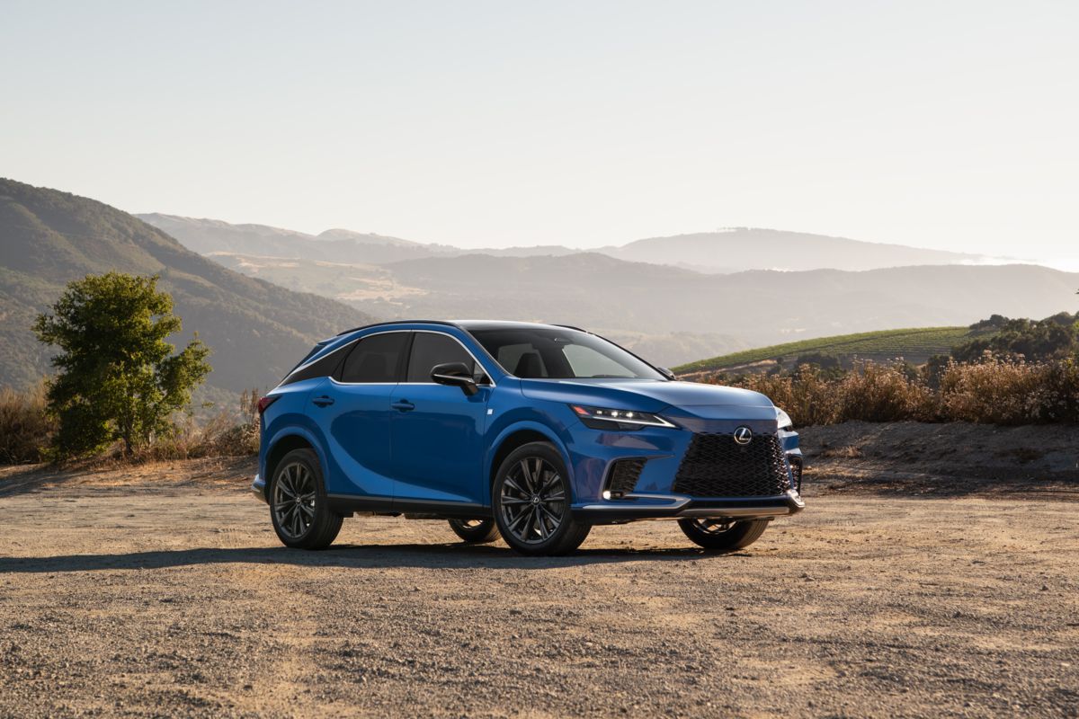 The Lexus NX driving through a forest