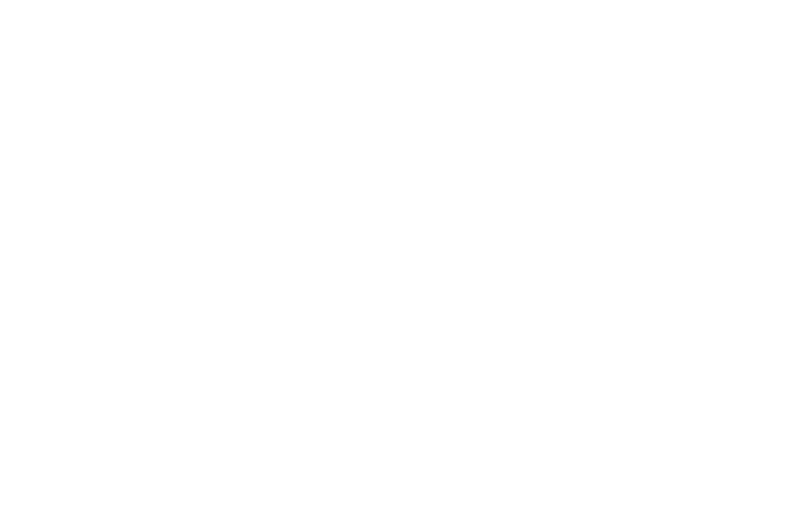 Logo LBX