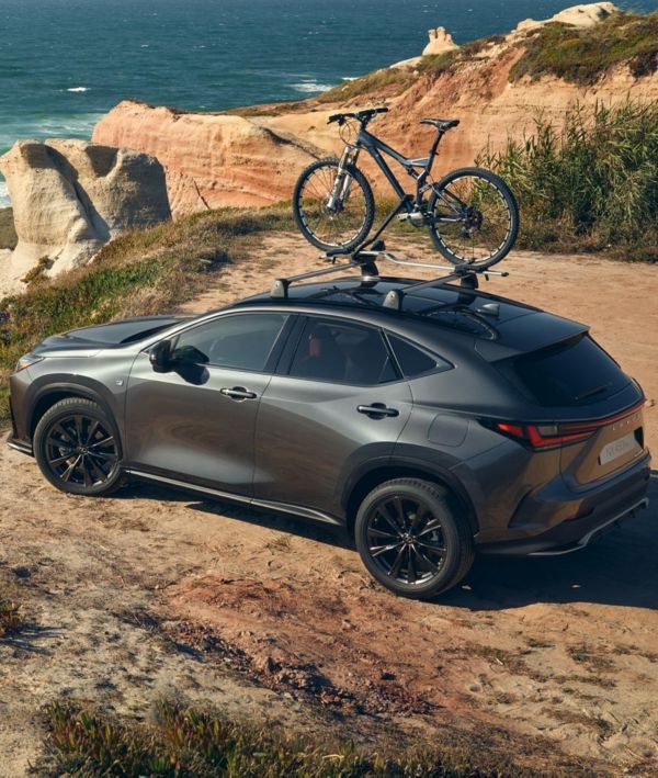 A Lexus NX parked on a beach