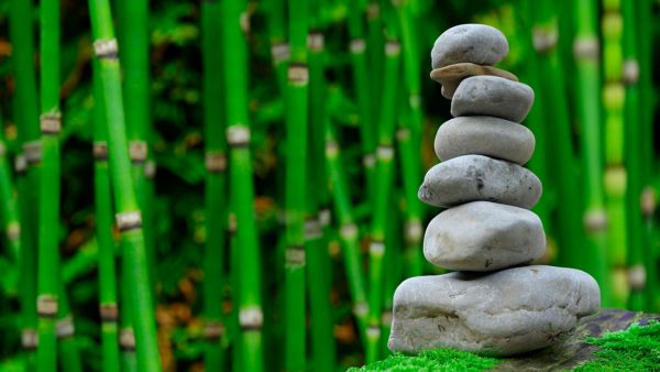 Beneficios de la meditación diaria