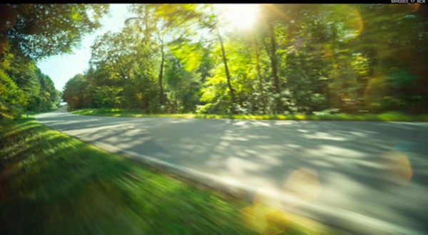 Toyota aerial view of a forest with a road