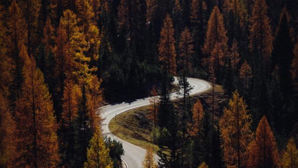 Des véhicules plus respectueux de l'environnement