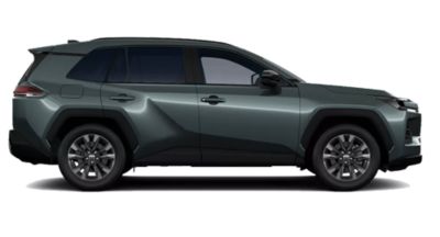 Plugin-Hybrid RAV4