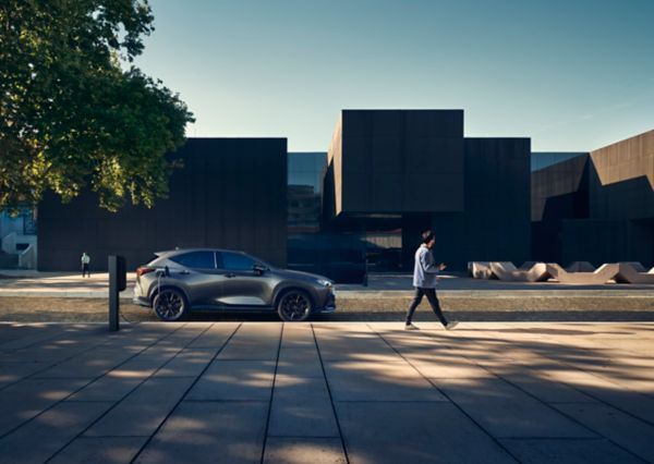 A man sat in a Lexus NX