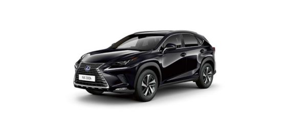 nx300h