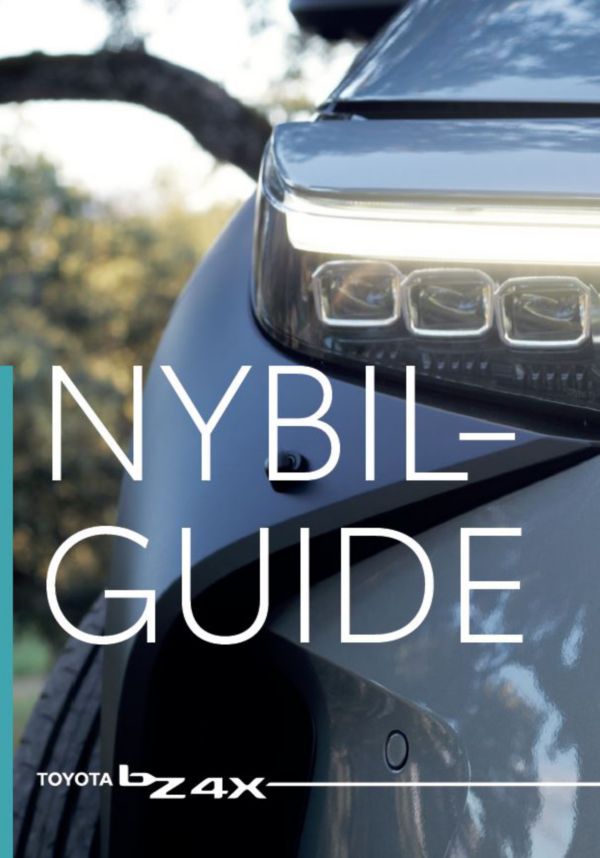 nybilguide