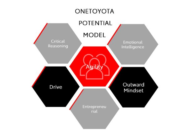 OneToyota Potential Model