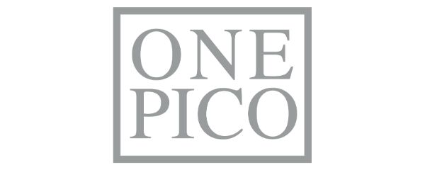 voice of the customer