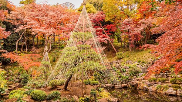 otoño en tokio