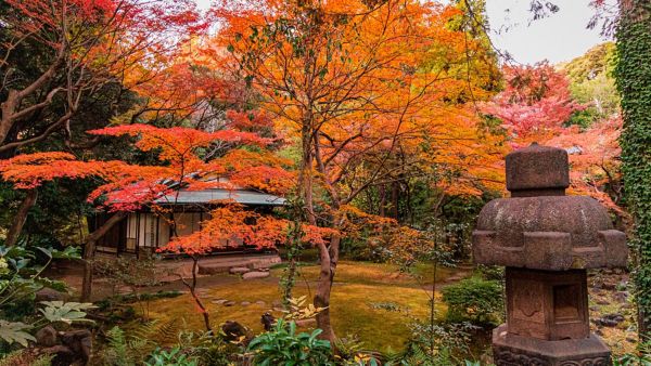 otoño en tokio
