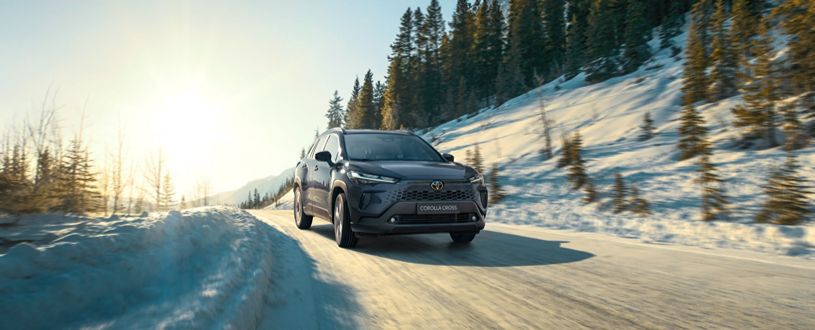 Online service booking