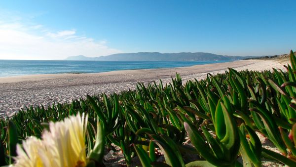 playas portugal