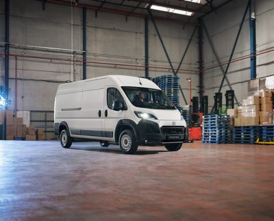 PROACE MAX