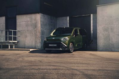 Sistem de stabilizare a vehiculului