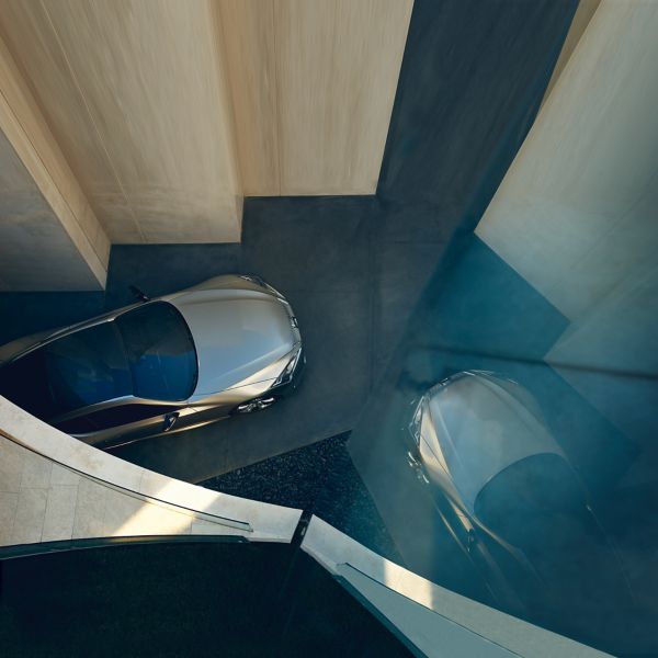 Provocative perspective