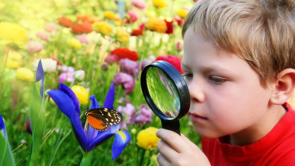 Child examining a butterfly