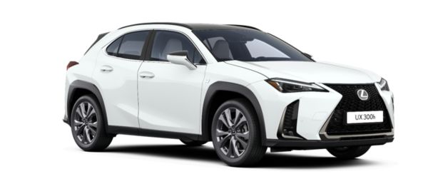 Profil boczny samochodu Lexus UX 300h